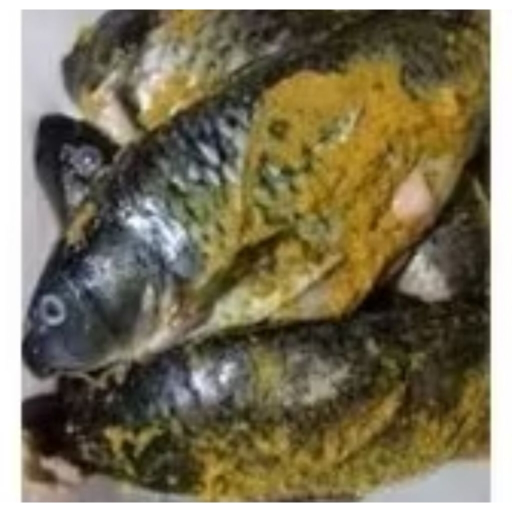

Ikan mas bumbu kuning siap goreng