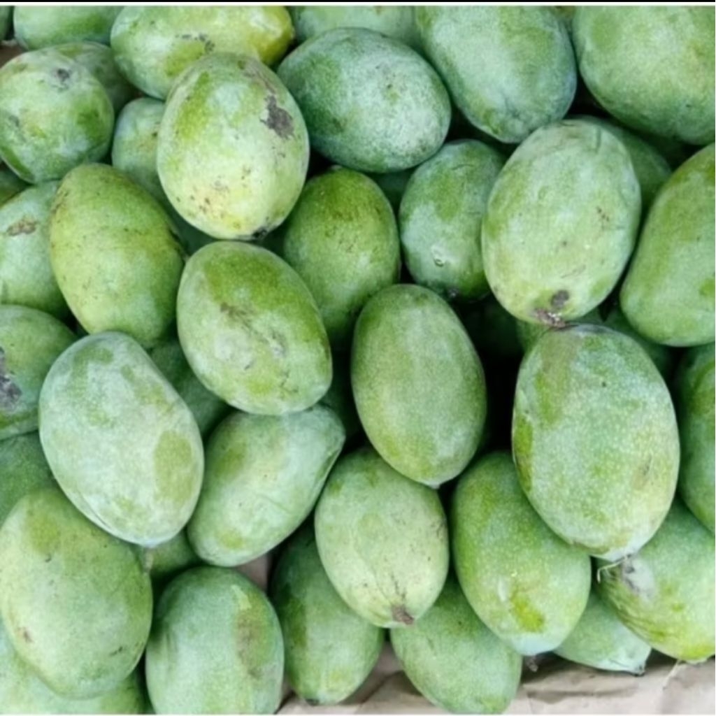 

Buah Mangga Manalagi Simanalagi Segar