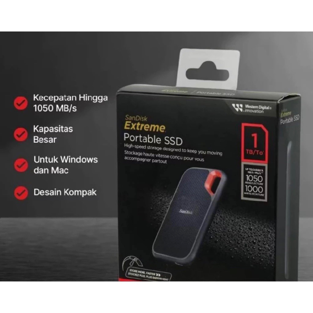 SSD Eksternal Portabel 1TB Sandisk V2 E61