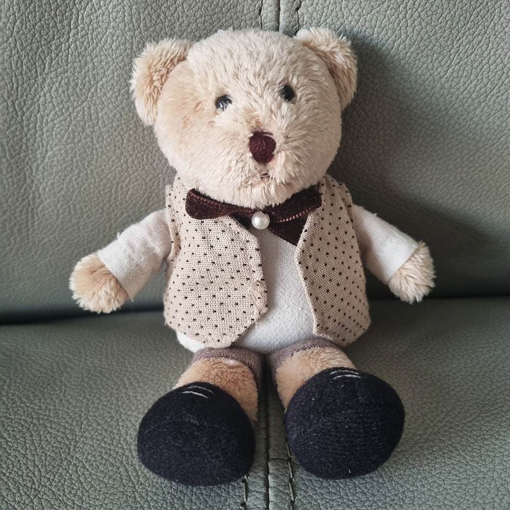 PRELOVED BONEKA BERUANG TEDDY HOUSE