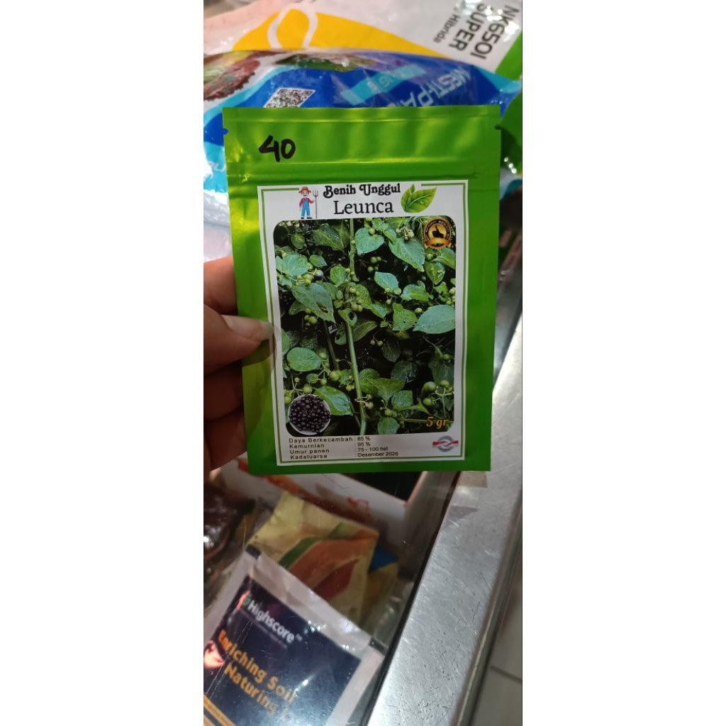 Benih leunca/ranti/terung