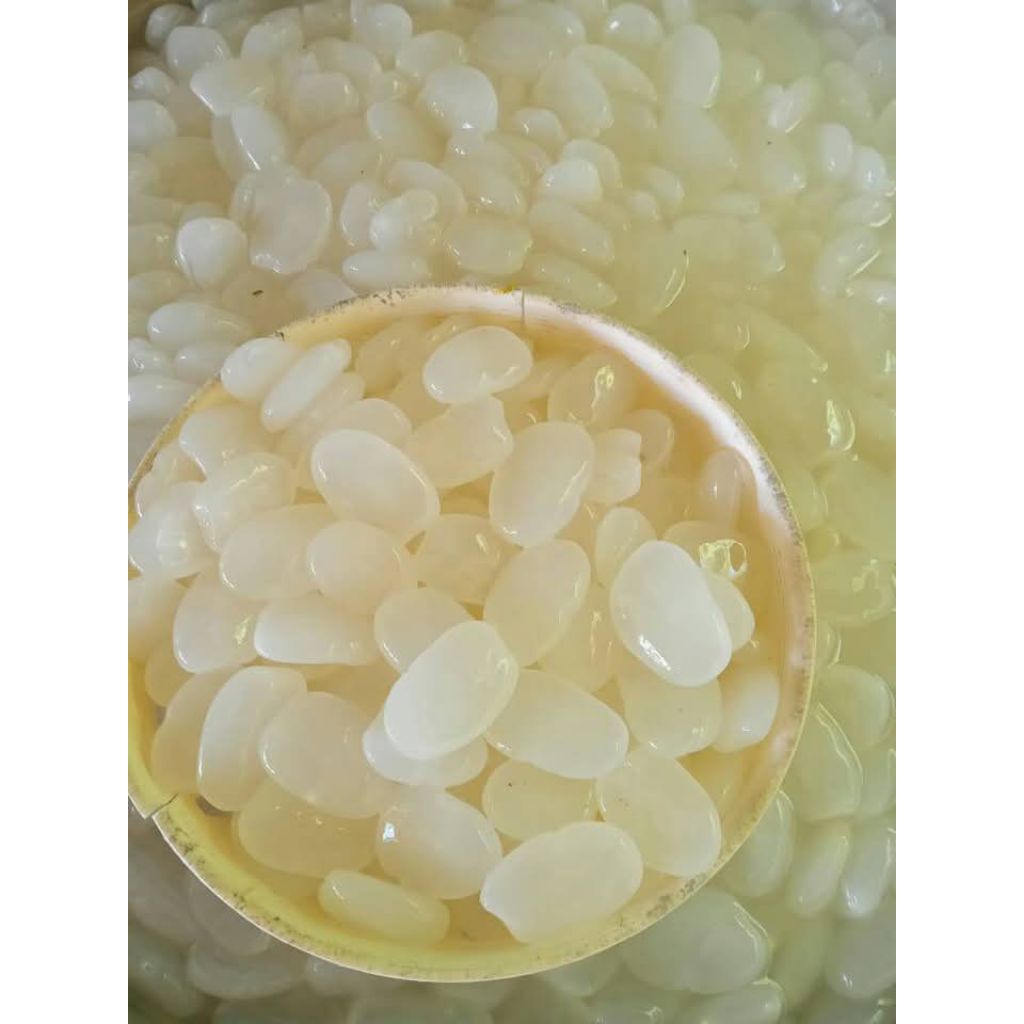 

Kolang Kaling Segar Bahan Manisan 1 kg