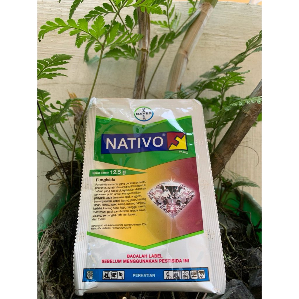 NATIVO 12,5GRAM 75WG fungisida sistemik granul bayer (ORIGINAL 100%)