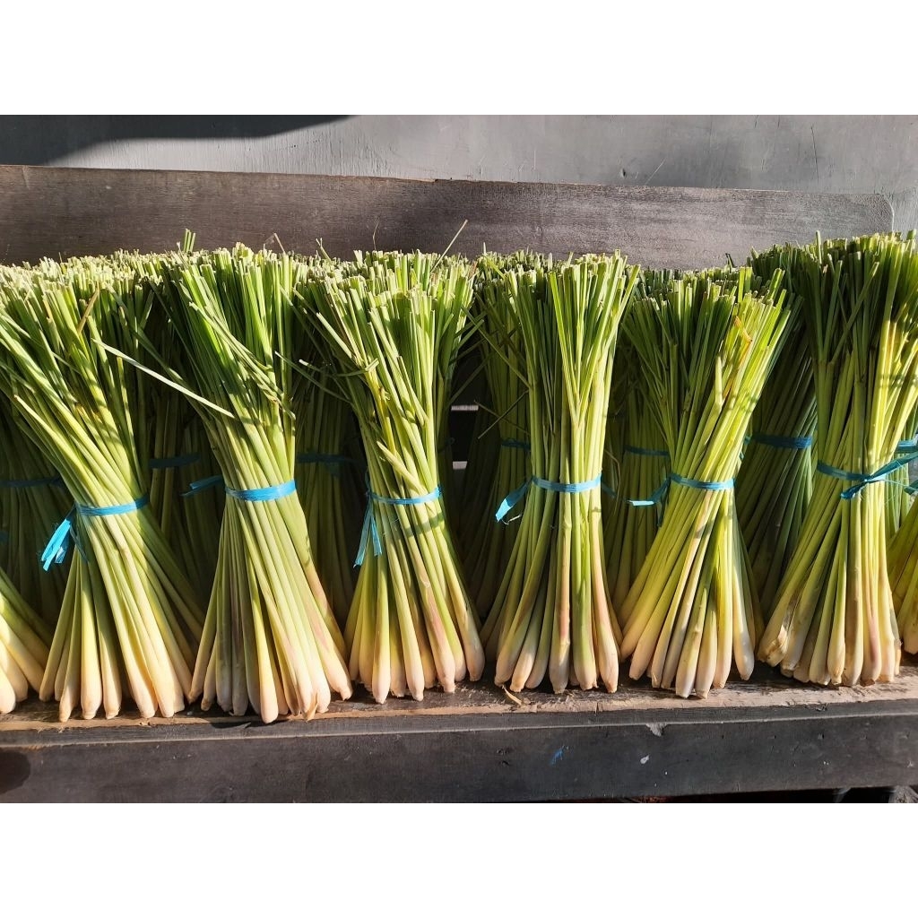 

PROMO SERAI/SEREH FRES 1KG