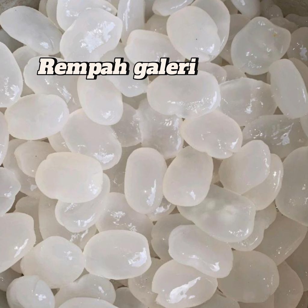 

Biji Aren Kolang Kaling Caruluk Berat 500 dan 1kg