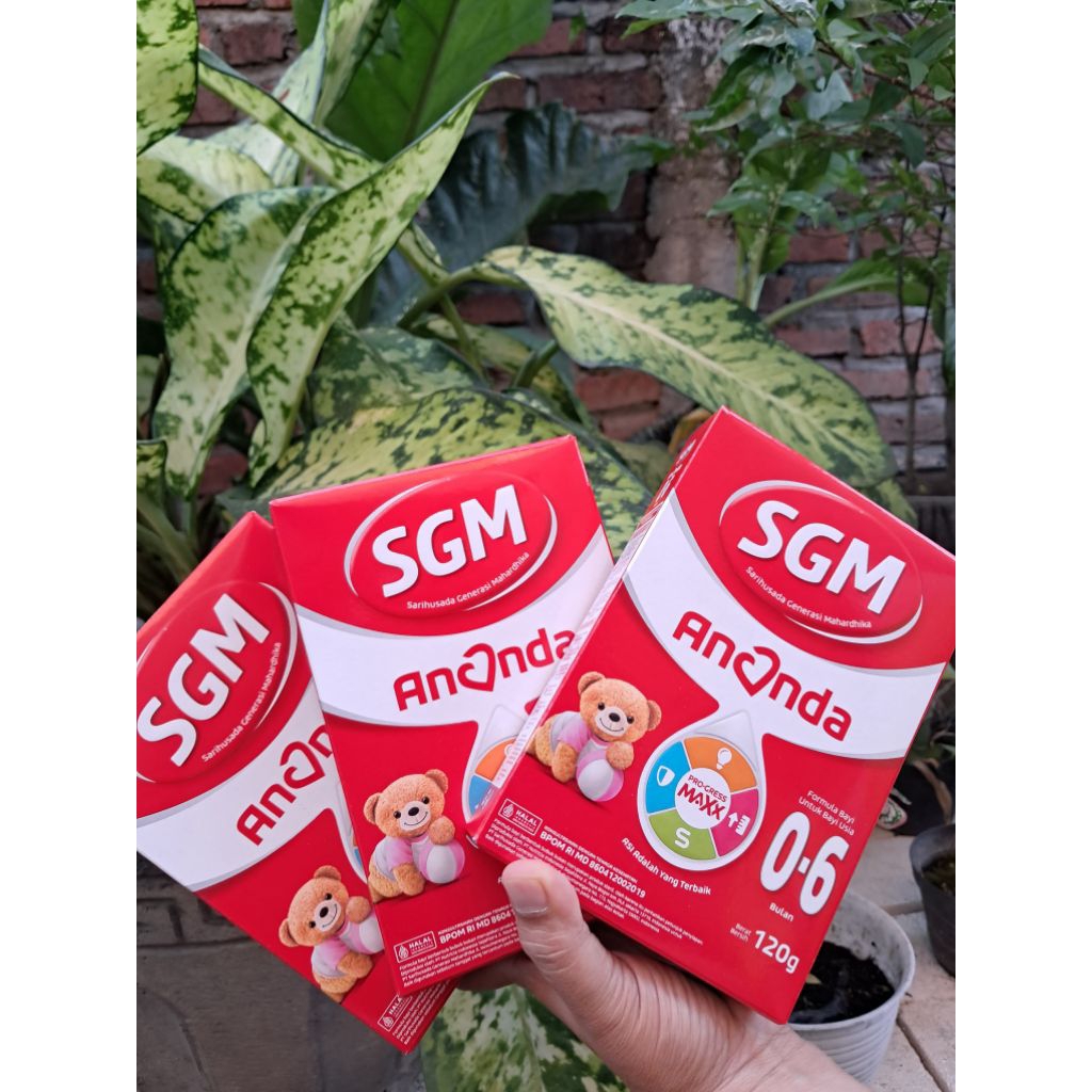 SGM ANANDA 0-6 BULAN