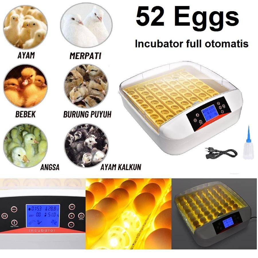 Inkubator Mesin Penetas Telur otomatis burung ayam merak punyuh unggas toko cica murah