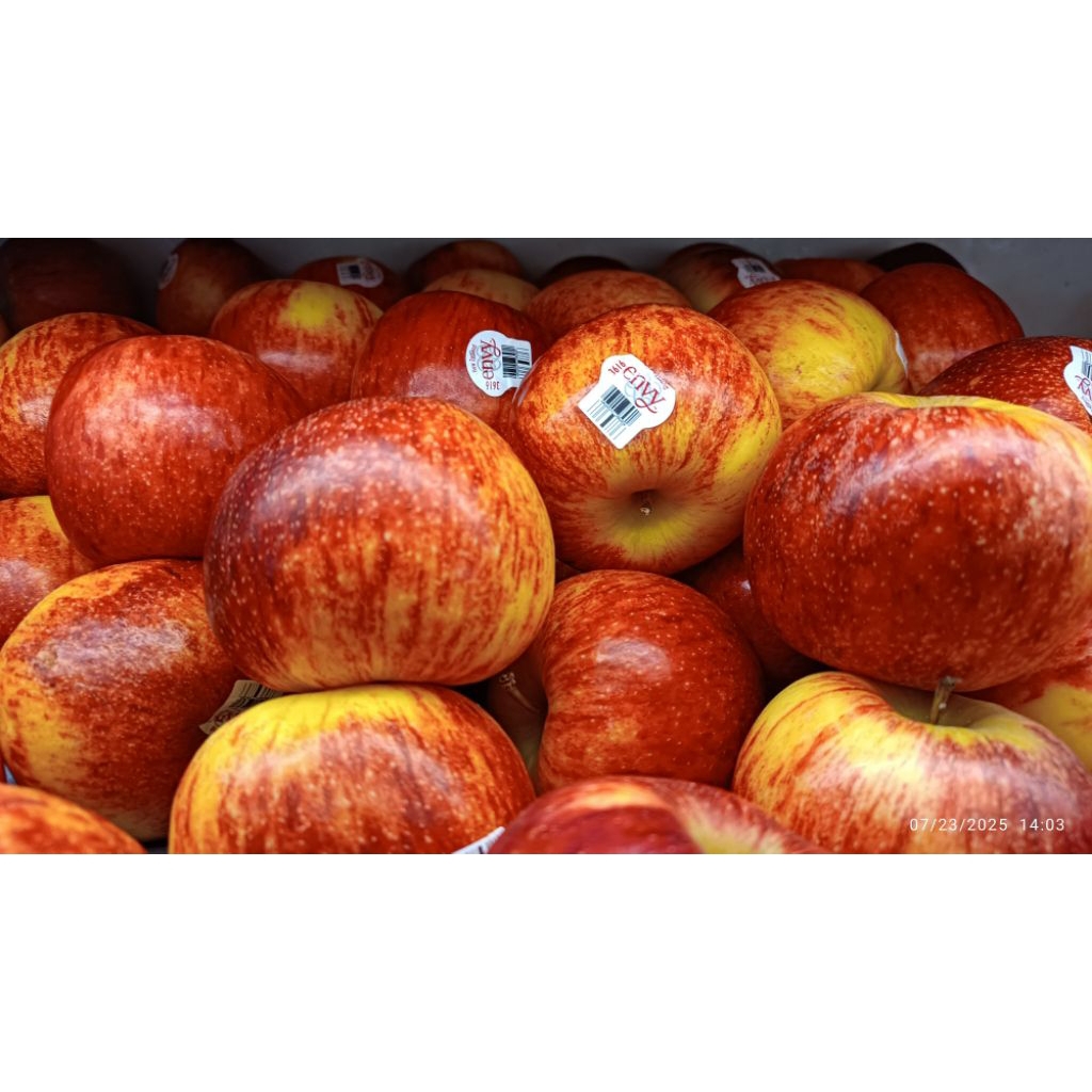 

apel envy asli dari New Zealand/kg