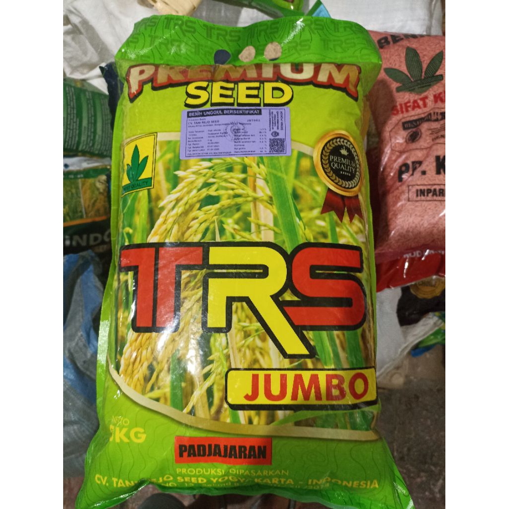 Benih Padi Padjajaran Jumbo Premium 5kg