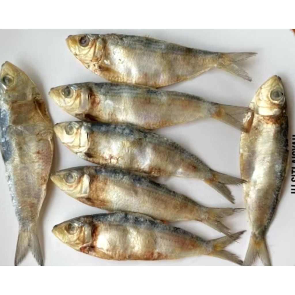 

Ikan Asin Tembang Tanjan 500g