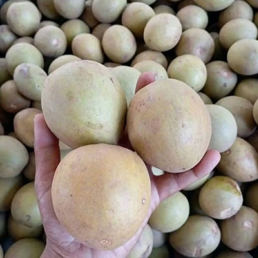 

sawo madu superan mengkal tua rasa manis 1kg