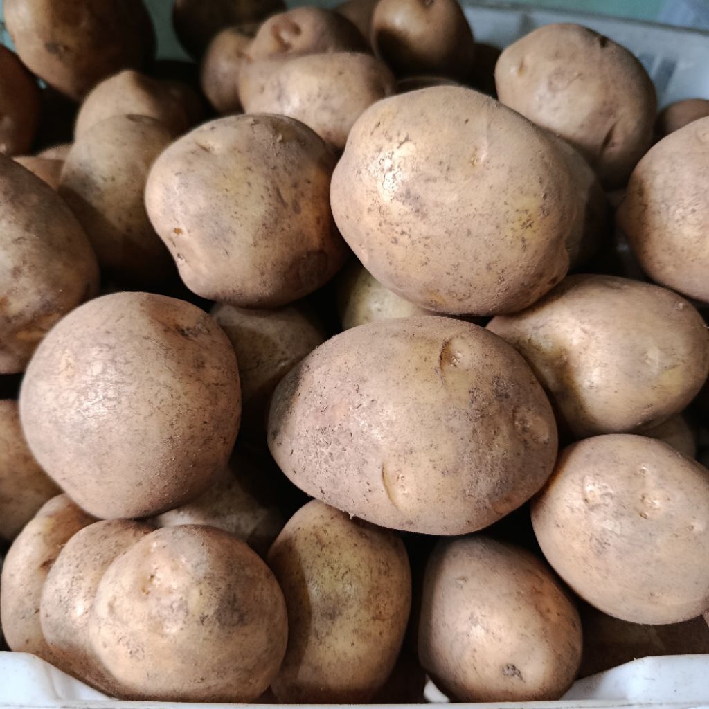 

Kentang Dieng Super 1kg