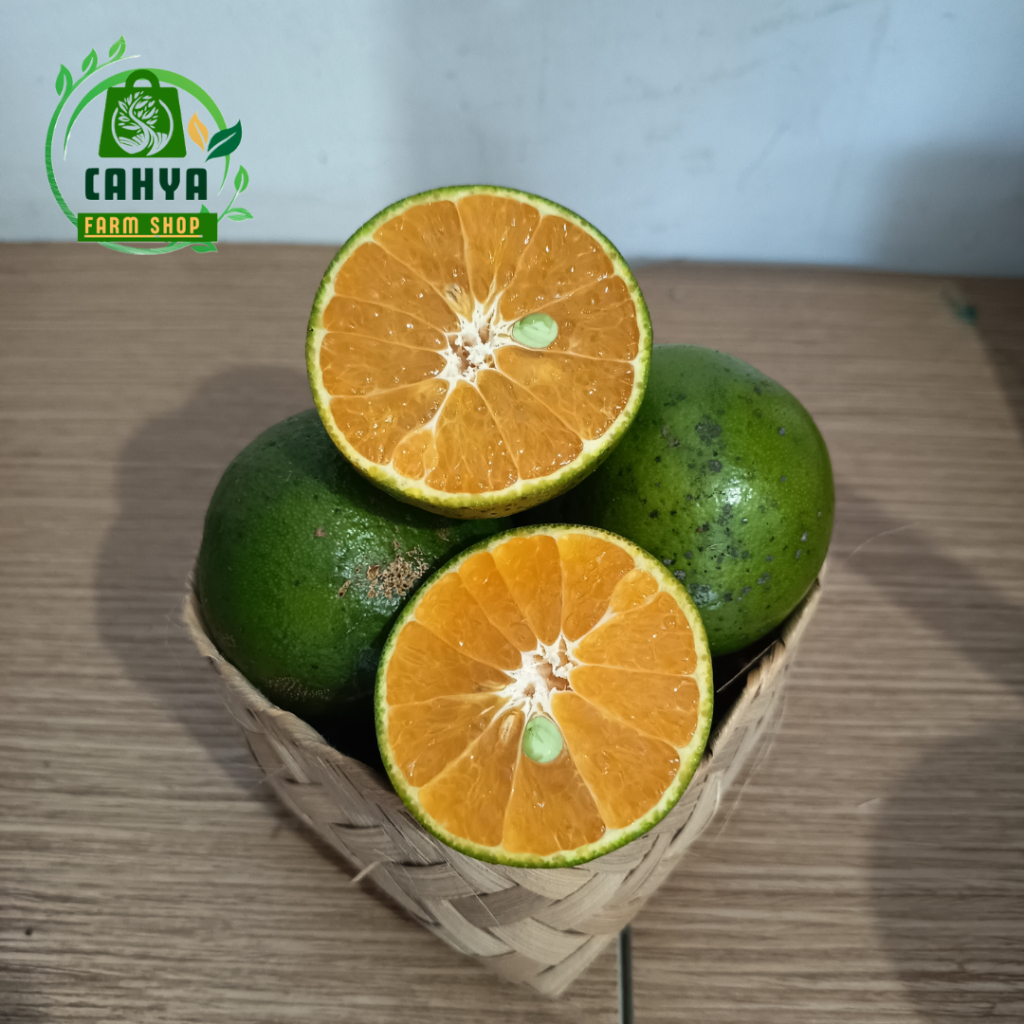 

Buah Jeruk Peras Asli Dan Fresh. Kemasan 1 Kg [ Premium ]