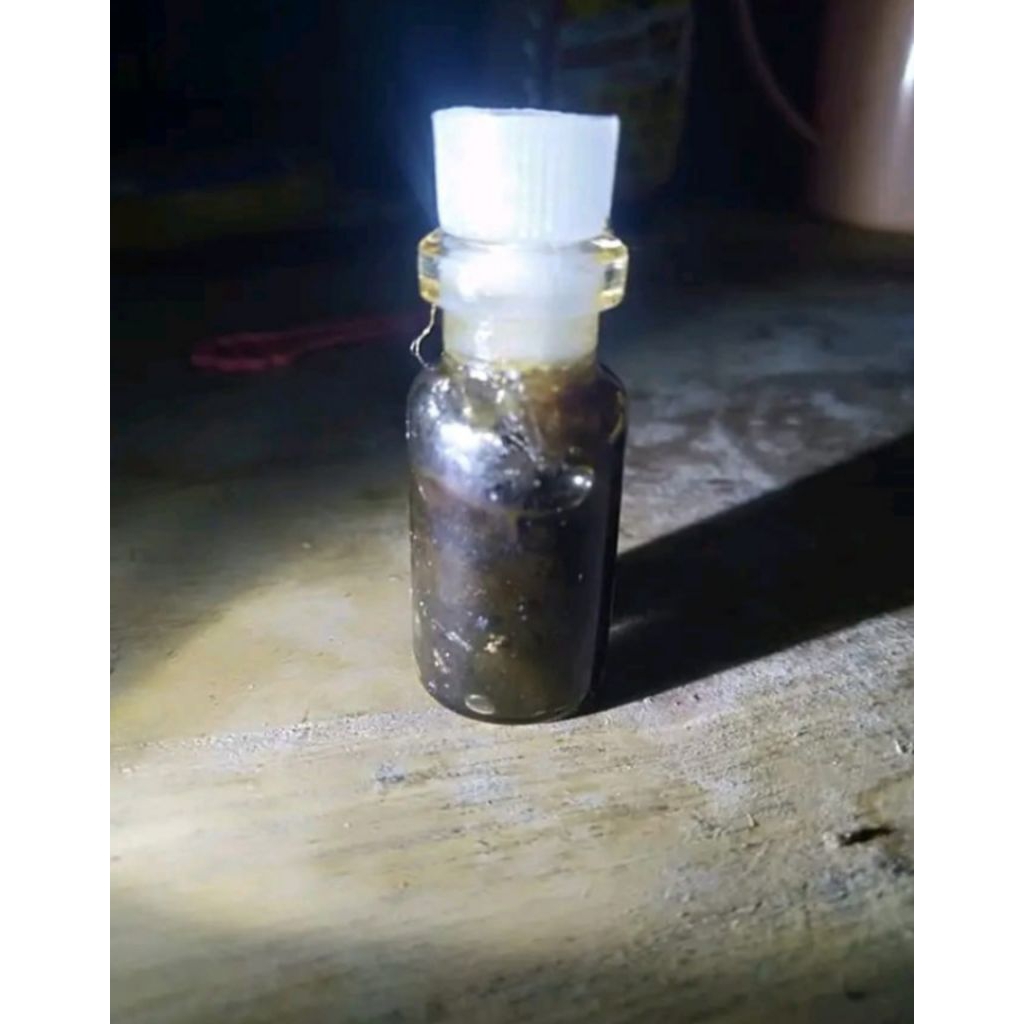 Minyak oles asli Kalimantan, minyak mariaban