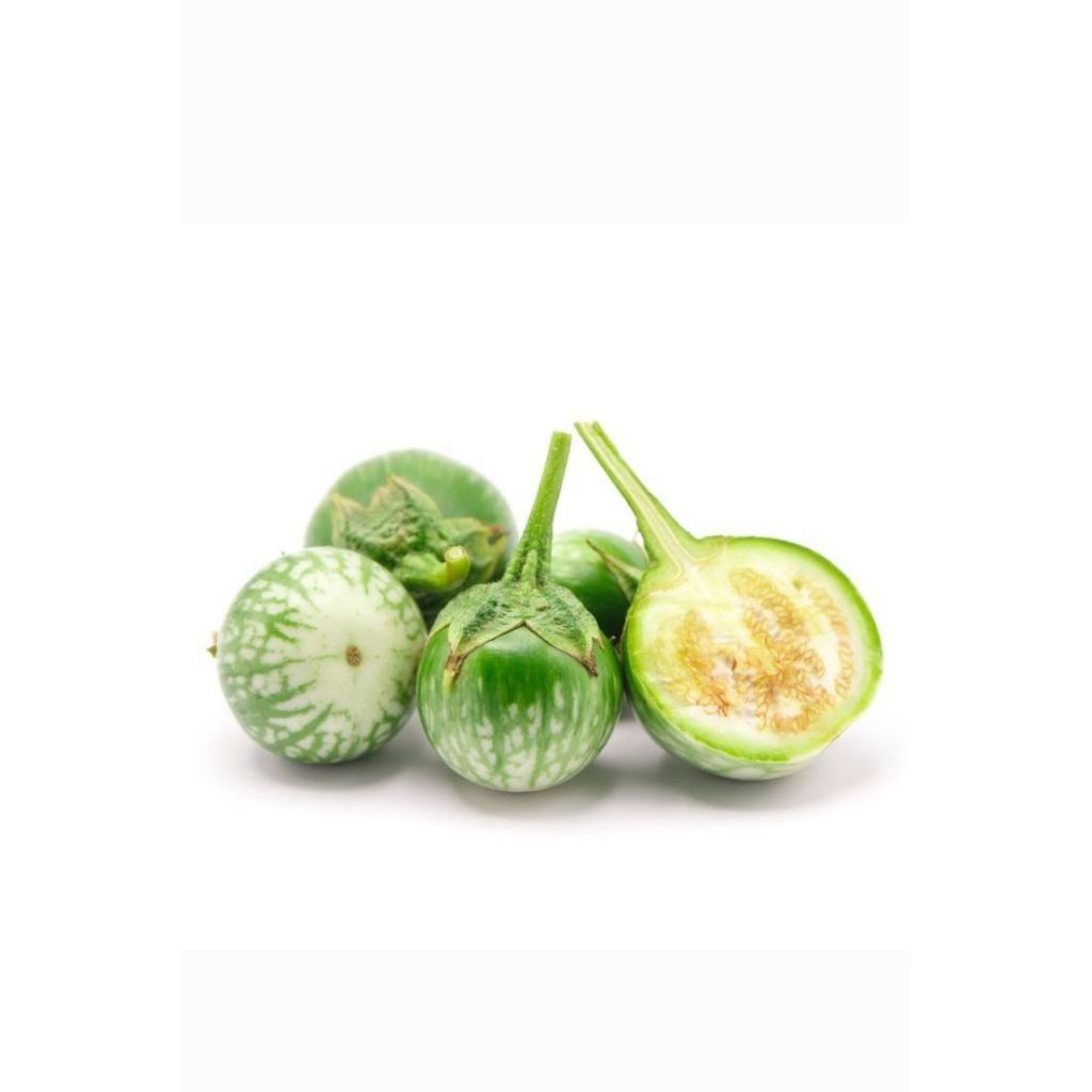 

KIRIM INSTANT Bandung Terong Bulat Terong Hijau 250 Gr