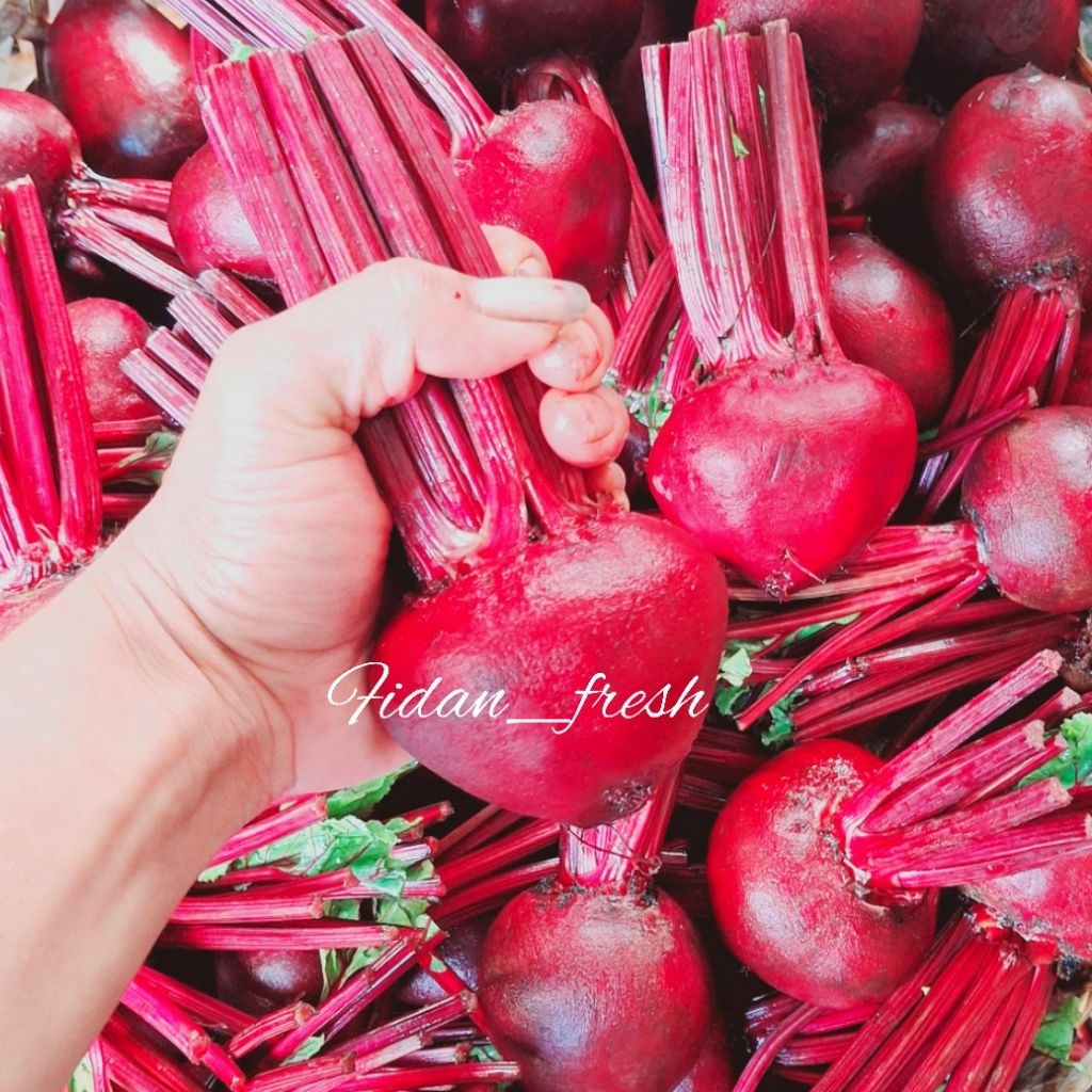 

Buah Bit Fresh 1kg Kualitas Premium