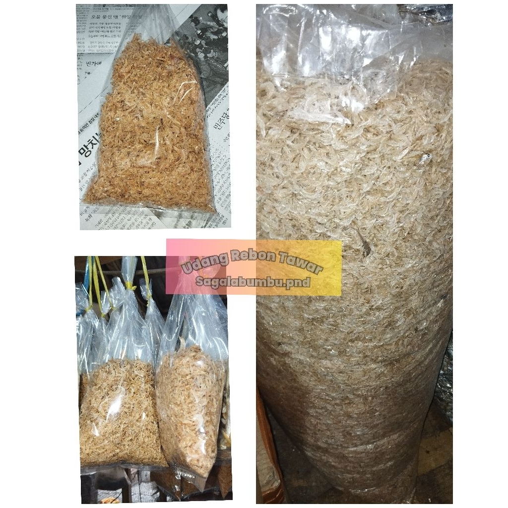 

Udang Rebon Tawar oleh oleh pangandaran Rebon Tawar asli Pangandaran rebon udang kecil kecil udang rebon