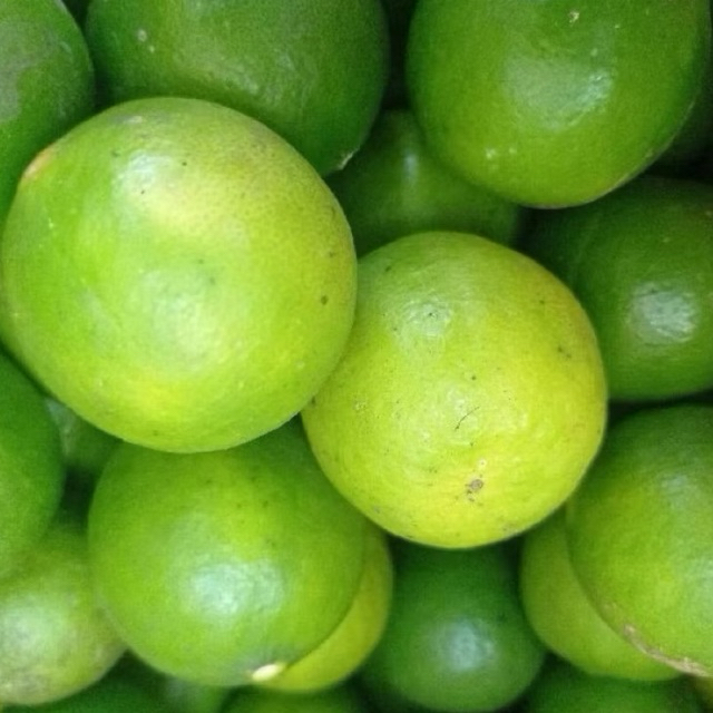 

Jeruk Nipis Segar 1 Kg