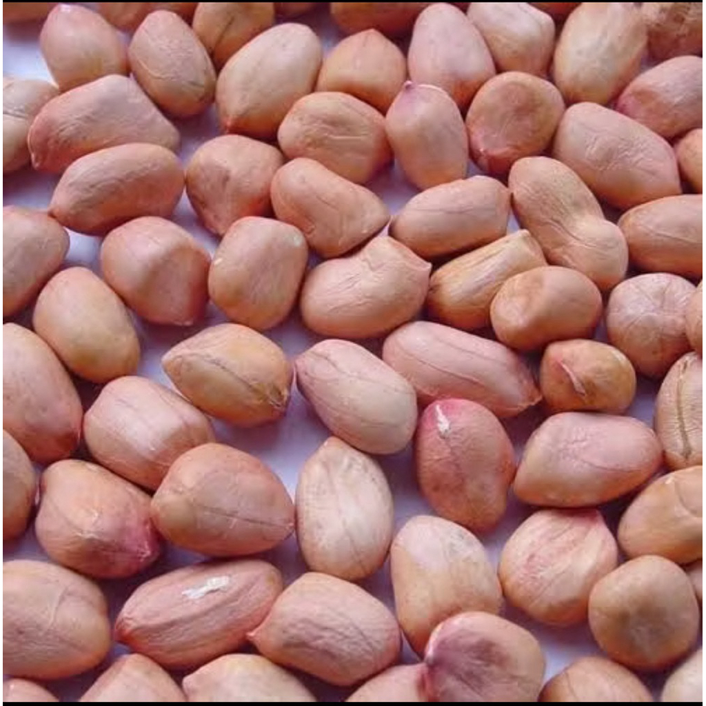 

Kacang Tanah ||Kacang Tanah Kupas ||Kacang mentah ||Kacang Tanah Super ||1kg