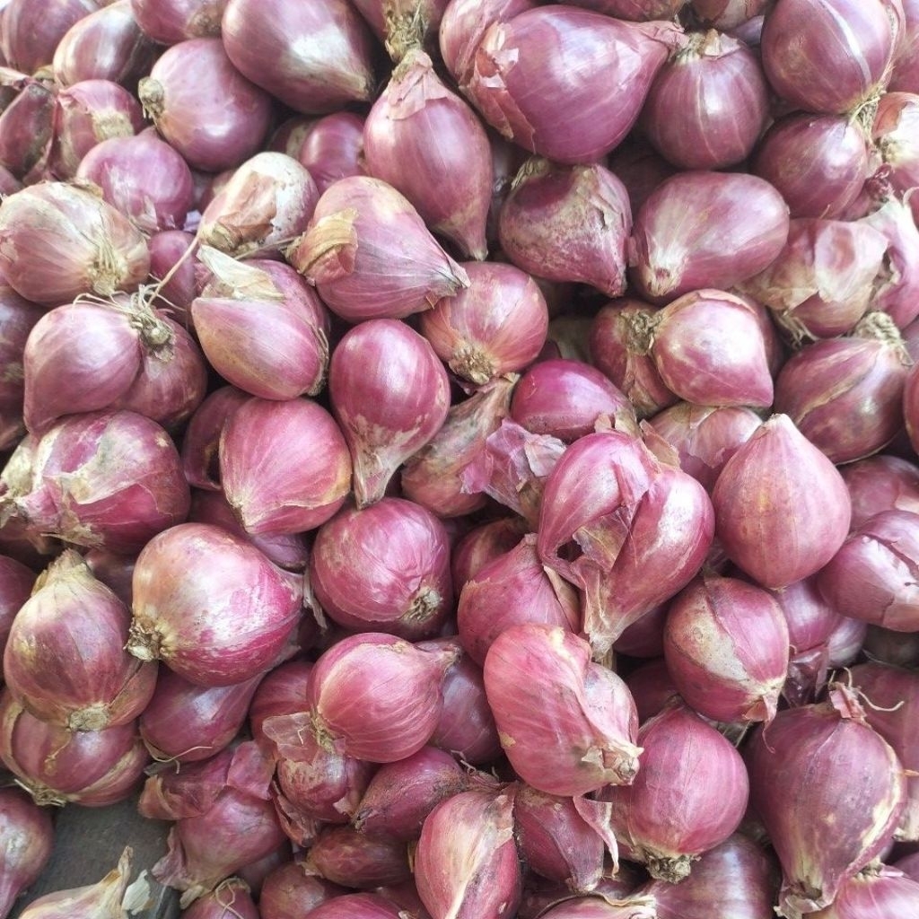 

bawang merah Probolinggo ½kilo kering