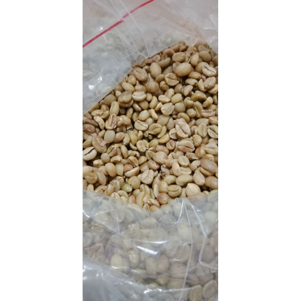 

greenbean excelsa 10 kilogram greenbean kopi nangka kopi nongko