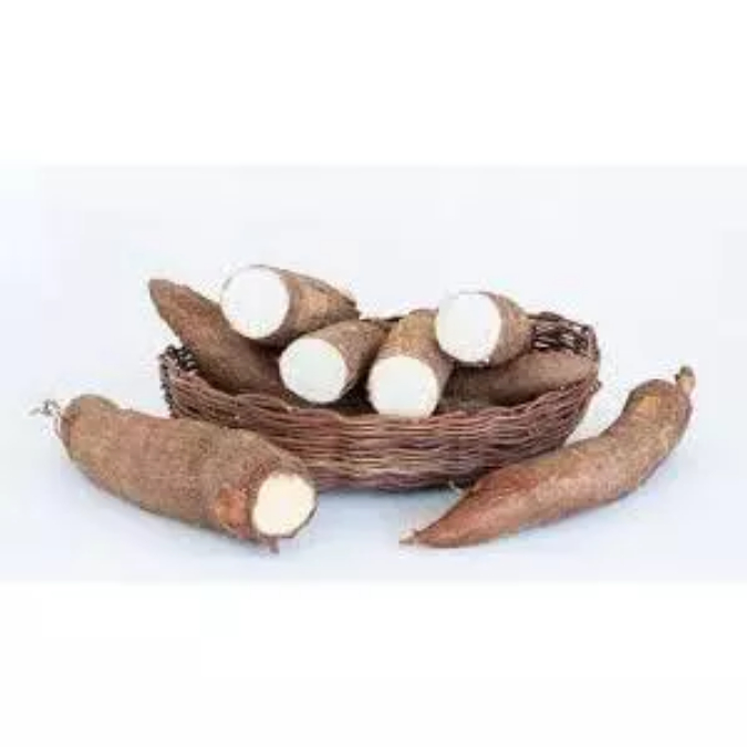 

Singkong Mentah 1 Kg / Singkong Mentega / Singkong Kuning