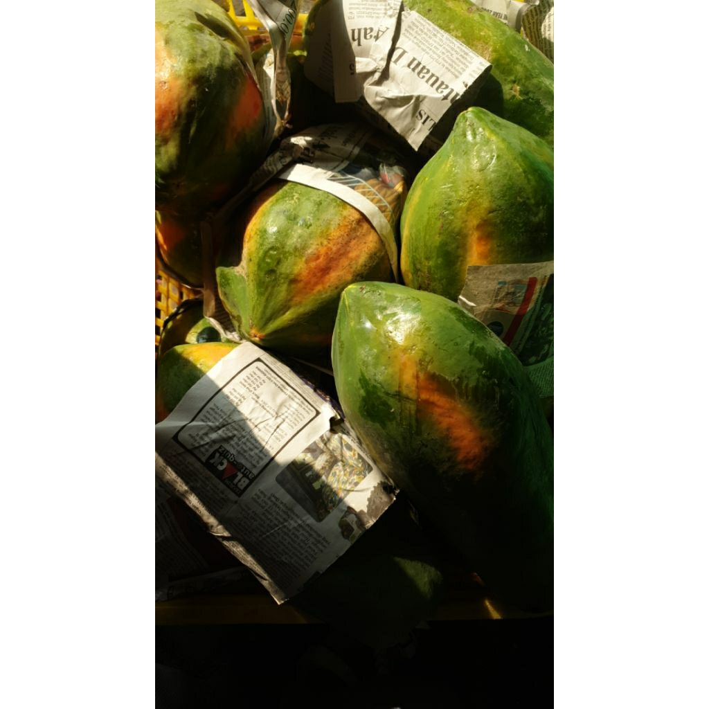 

Pepaya Bangkok/Pepaya Thailand