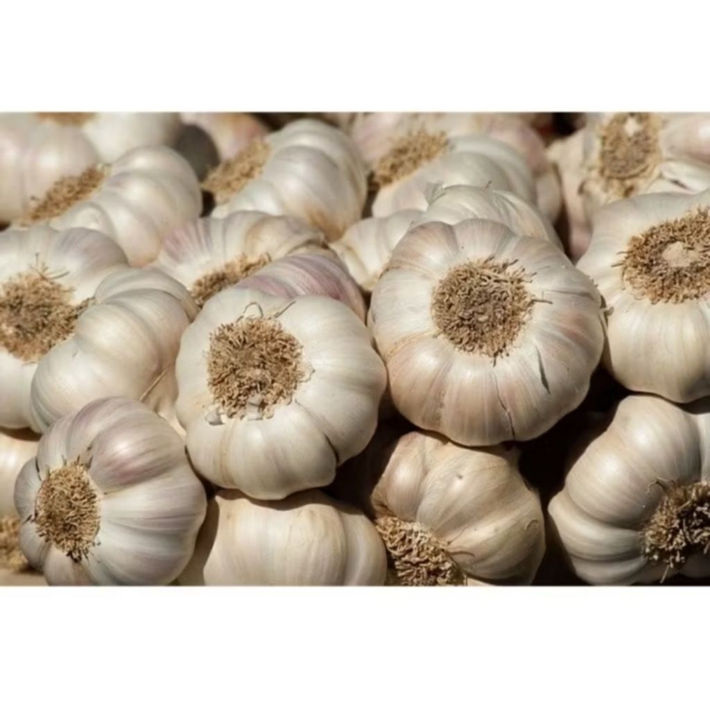 

OS, BAWANG PUTIH SUPER 250grm