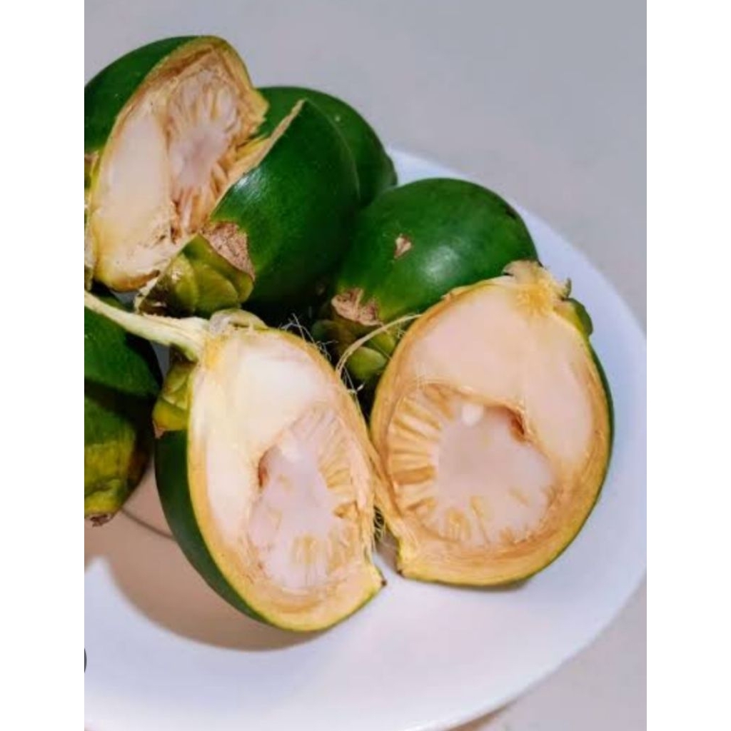 

buah pinang muda 1kg