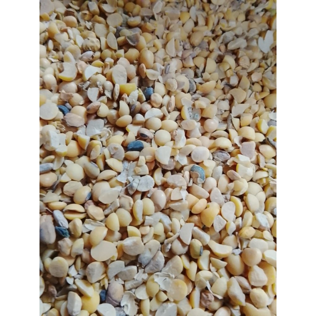 

10KG MENIR BERSIH KEDELAI IMPOR