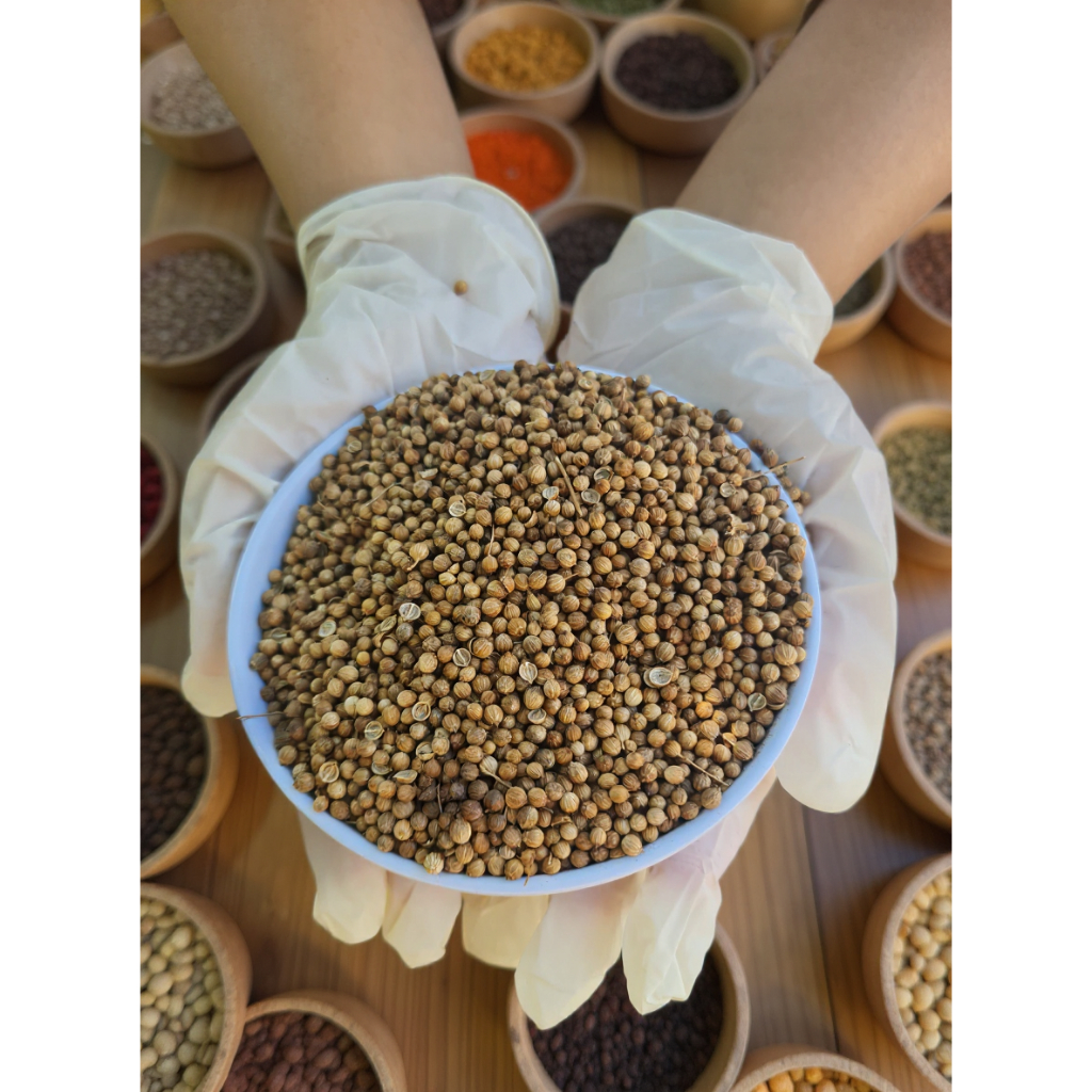 

Ketumbar Utuh Original Asli 100% Tanpa Pemutih / Bumbu Dapur / Coriander / Ketumbar Premium / Termurah Terlaris