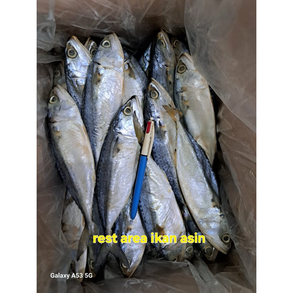 

Ikan Asin Peda Putih ( Banyar )