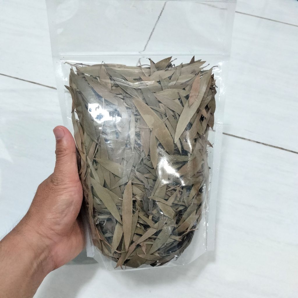 

PROMO 100gram Daun Kayu Putih / Daun Minyak Kayu Putih Kering