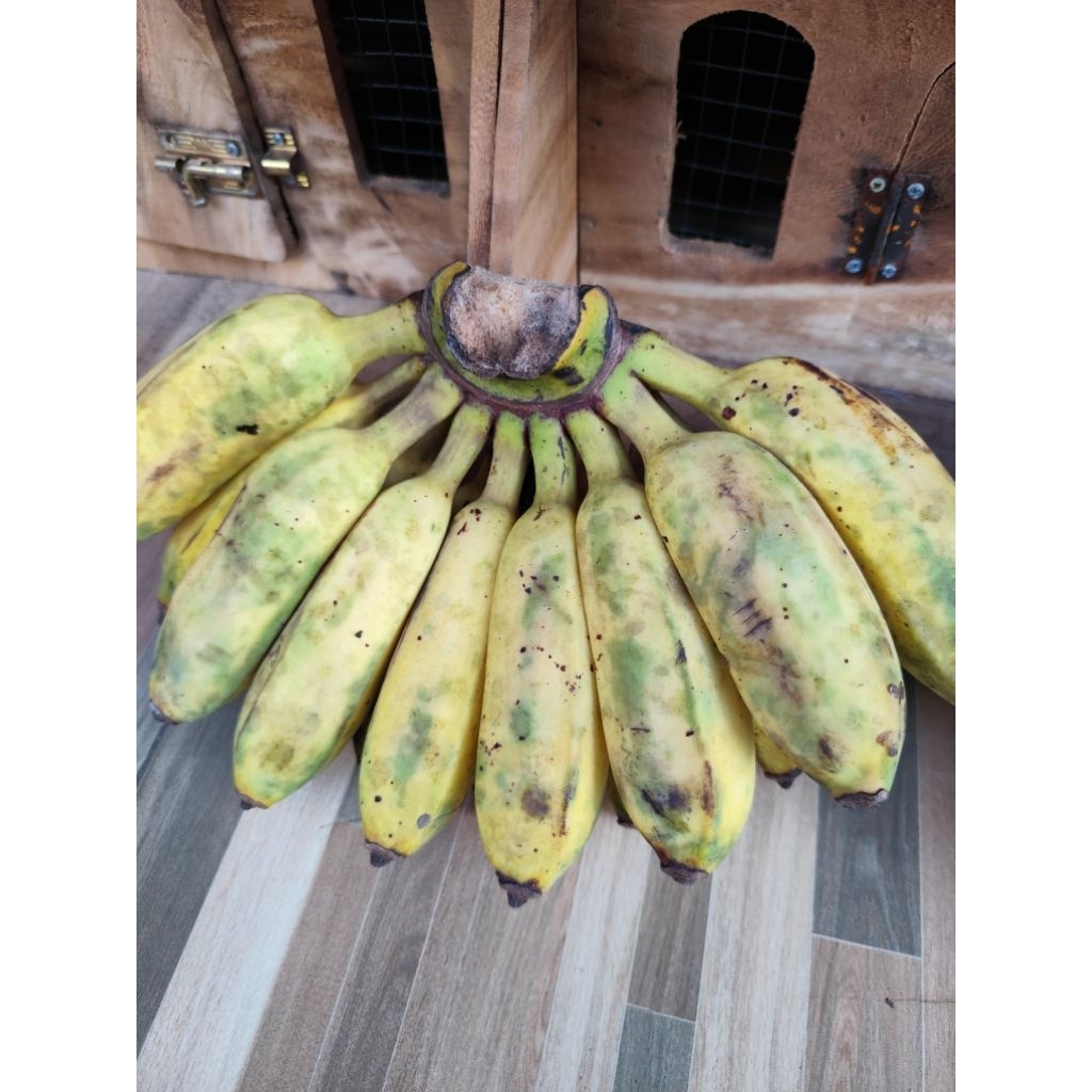 

PISANG KEPOK PISANG SIEM PISANG BURUNG 1pcs