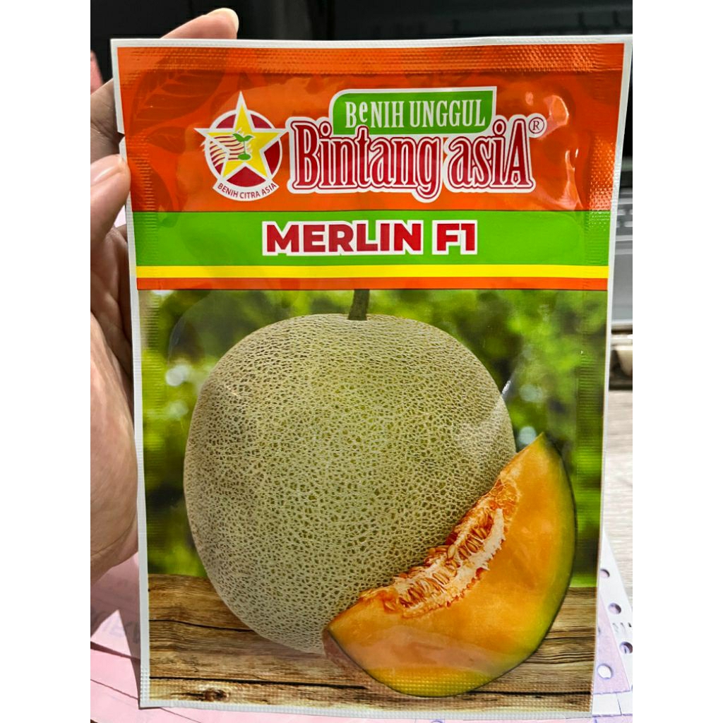 BENIH MELON MERLIN F1