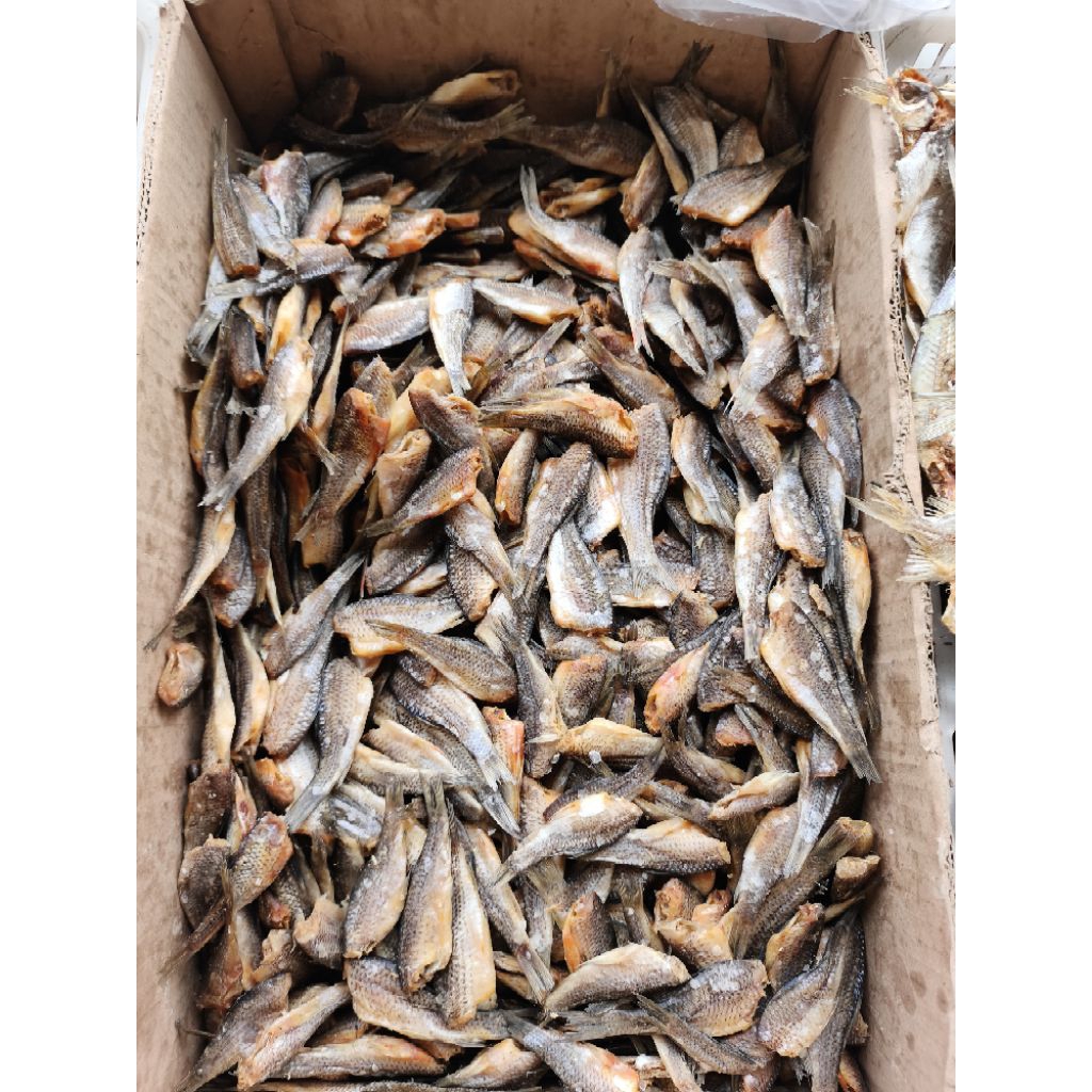 

ikan asin sungai potong pala