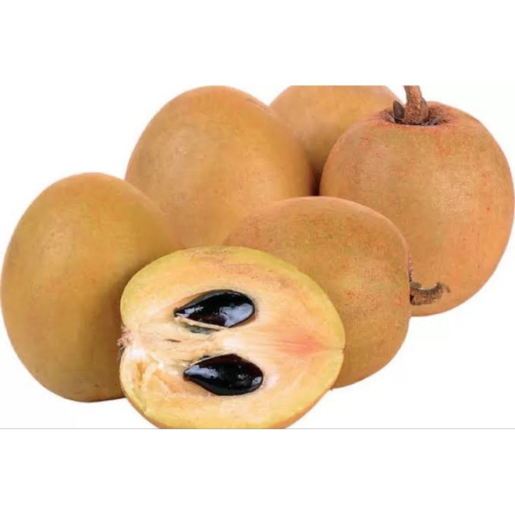 

buah sawo manis 500gr 1kg