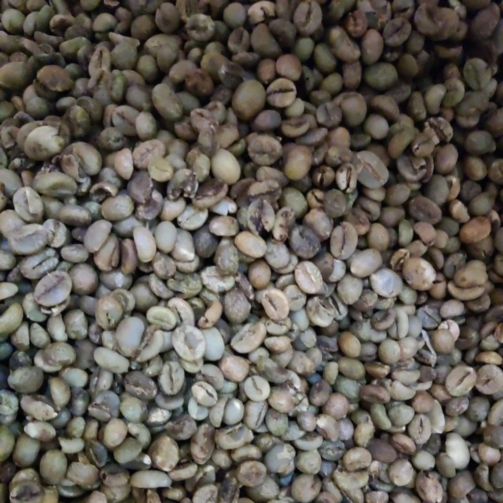 

kopi biji gb 250 gram