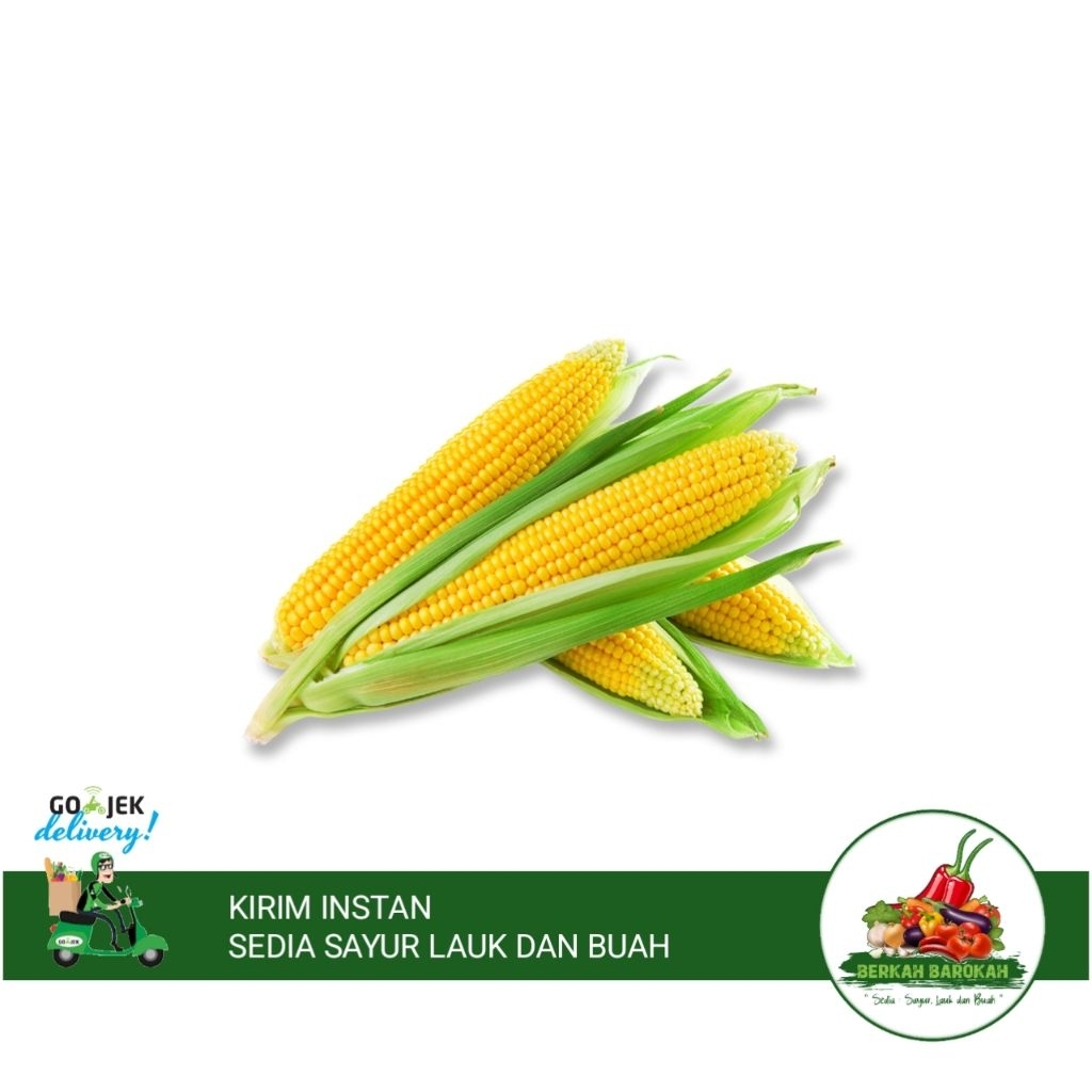 

Jagung madu / manis ukuran besar 1psc