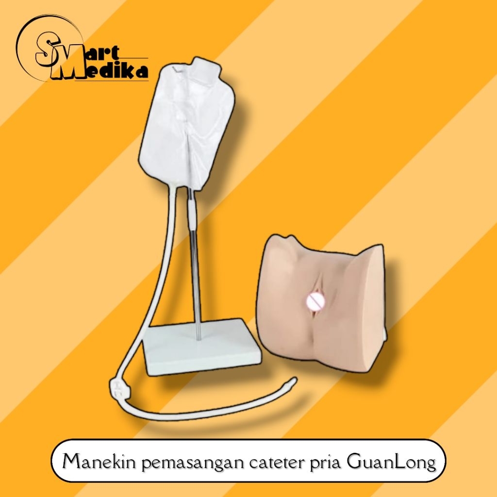 PHANTOM MANEKIN PEMASANGAN CATETER WANITA GUANLONG GL-8405-2 / MANIKIN PERAGA CATETER WANITA