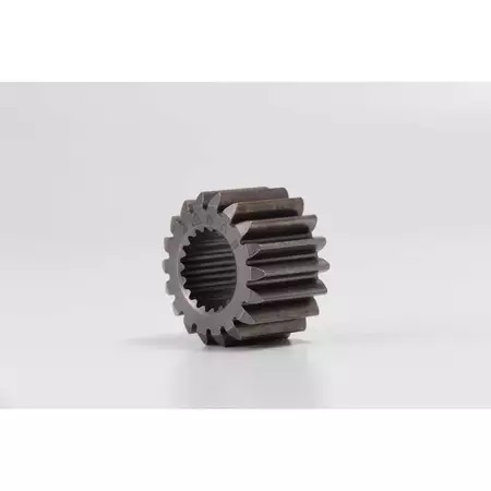 GEAR, PRIMARY DRIVE DAYTONA ANIMA