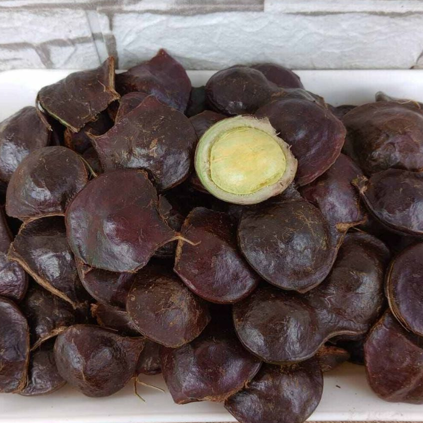 

Jengkol muda belum kupas fresh seger baru panen 1 kg