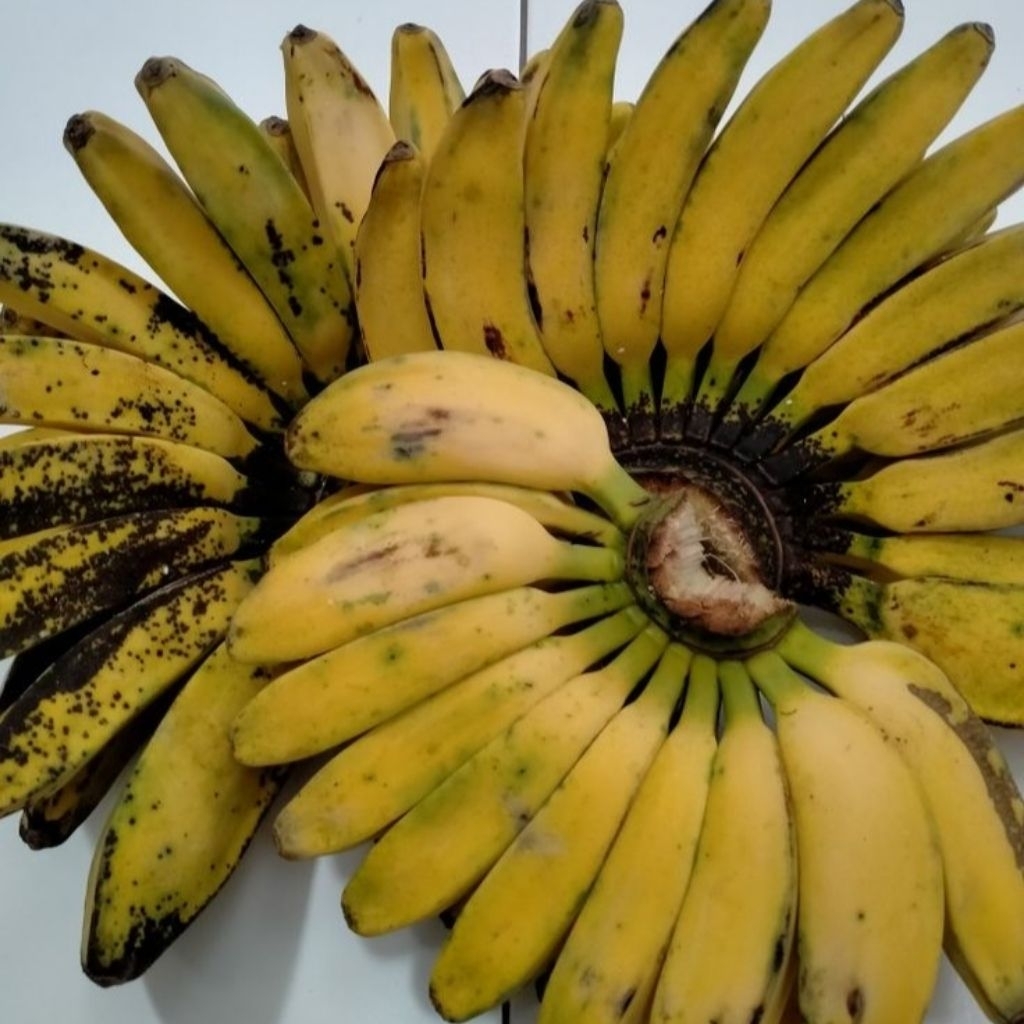 PISANG RAJA/ PISANG 1 SISIR