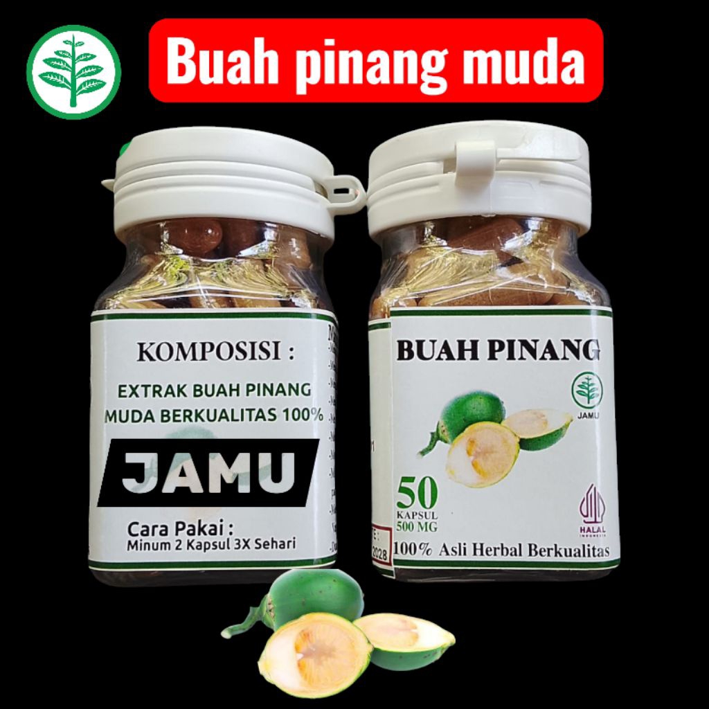 

Buah pinang muda berkualitas isi 50.pcs