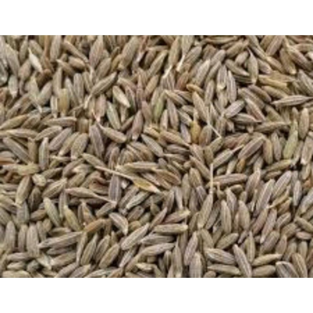 

Jeera seed 100g