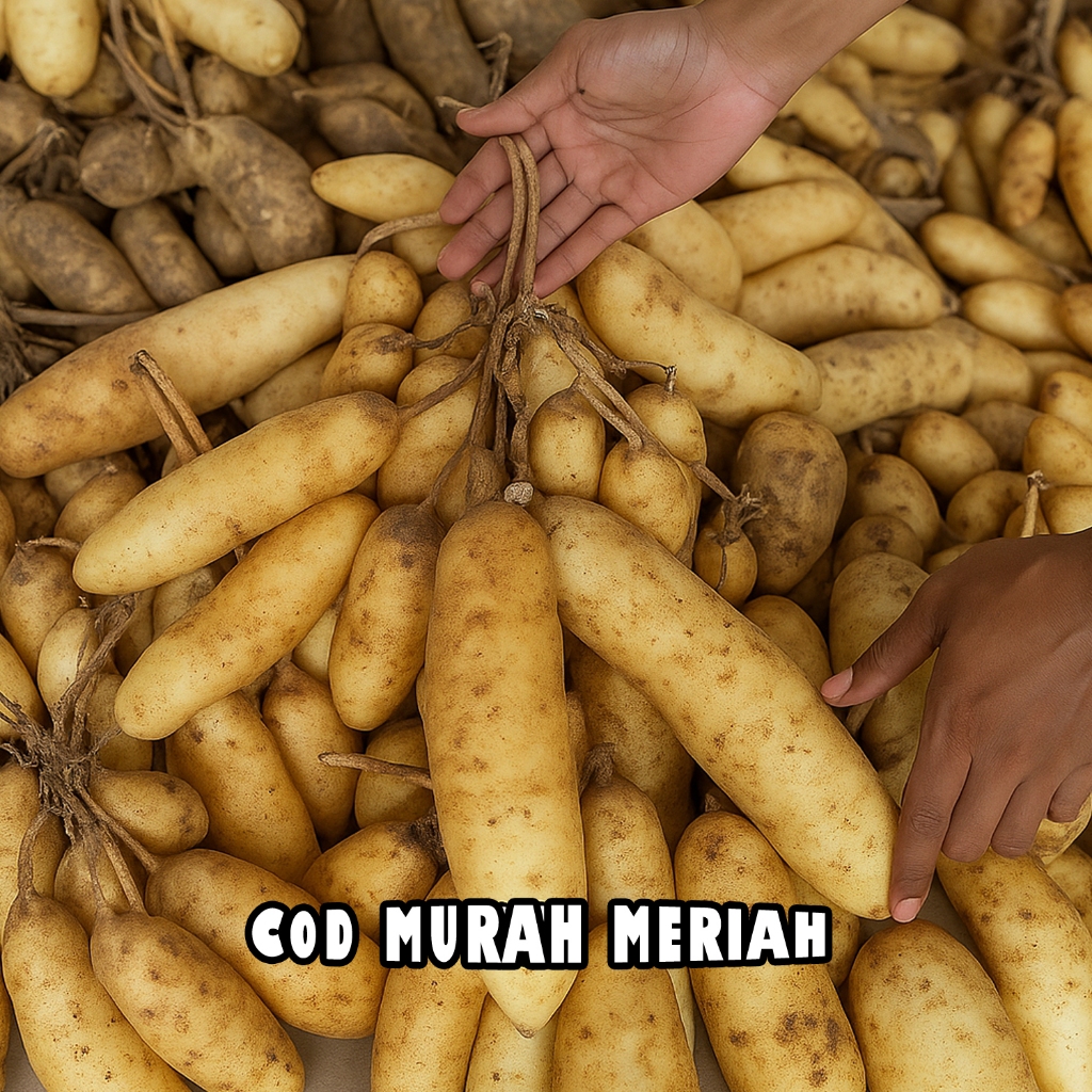 

COD Gembili Ketan Sekilo Murah Meriah