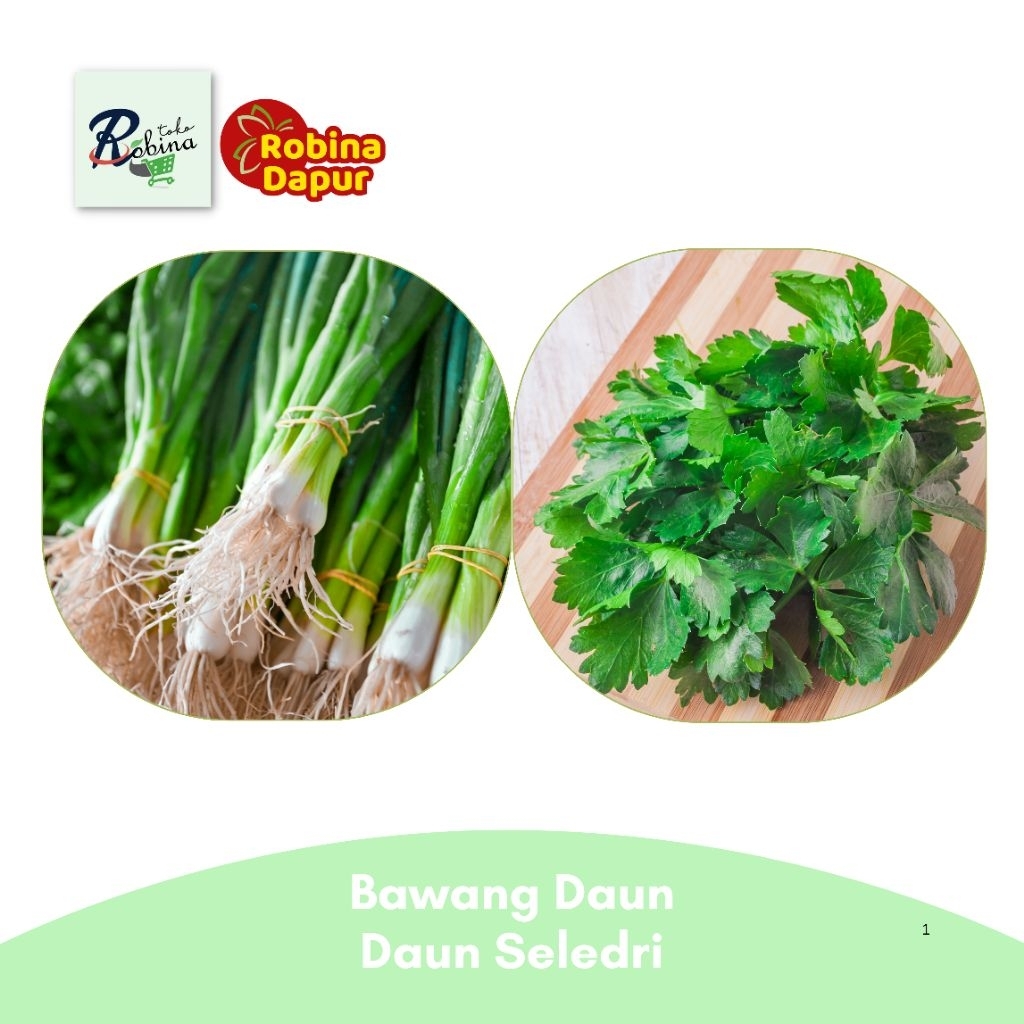 

Bandung Seledri Bawang Daun Segar