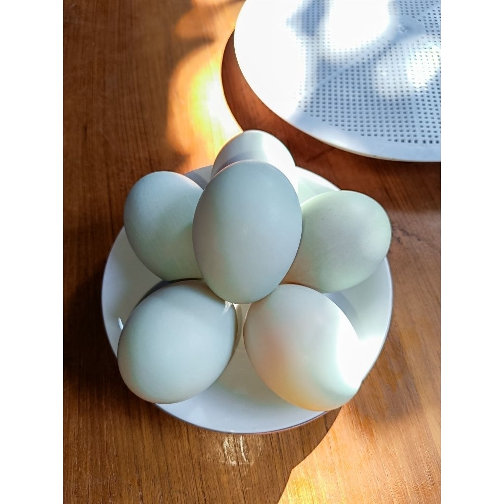 

Telur Asin produksi Udin Group (siap makan)