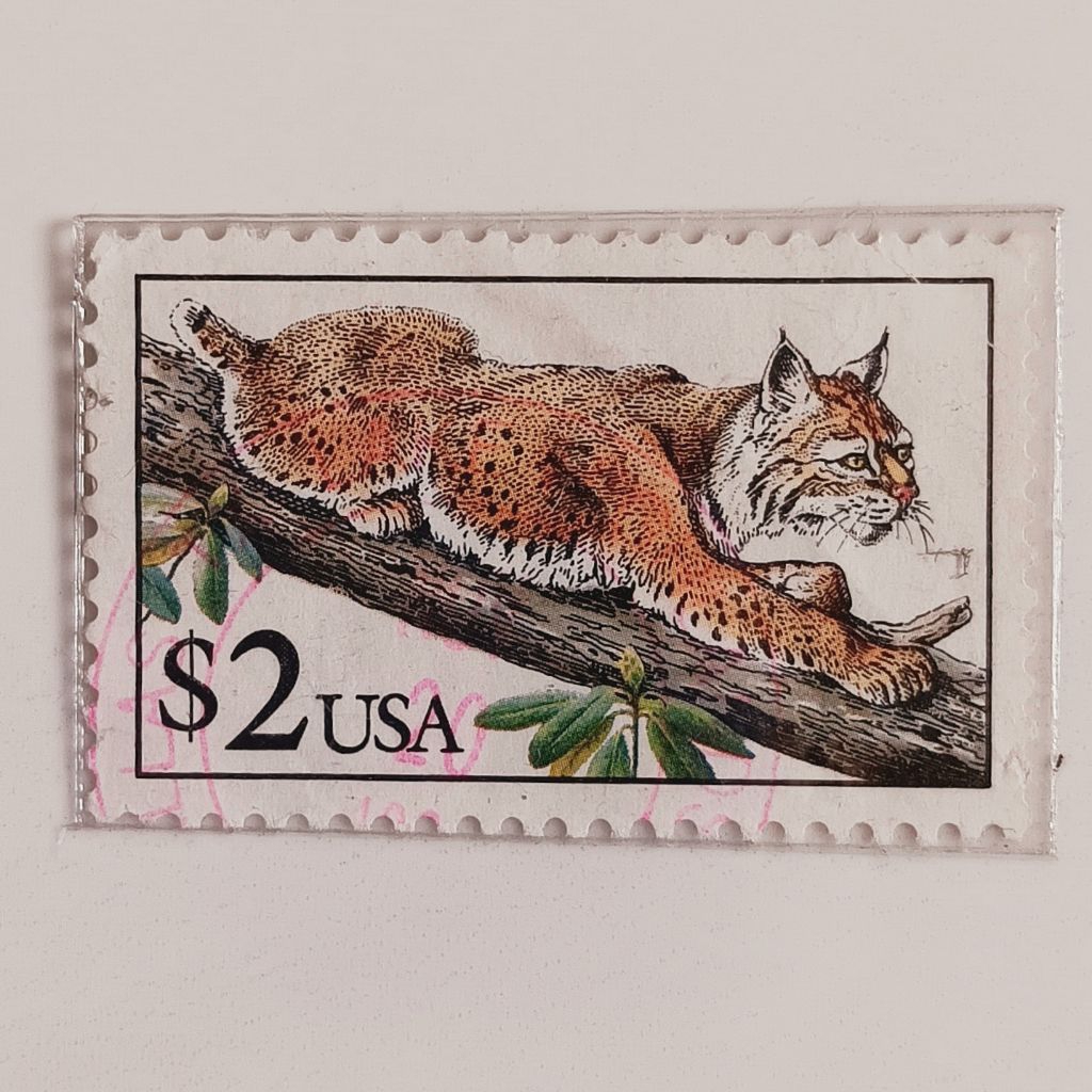 

(AD) Perangko Amerika Serikat 1990 Flora and Fauna Issue - Bobcat (Lynx rufus) 2 dollar Used