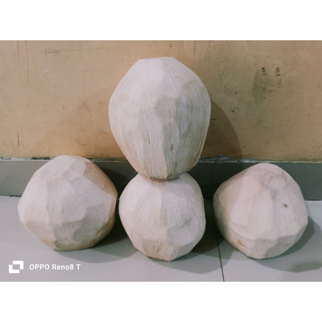 

kelapa muda diamond segar dan manis airnya